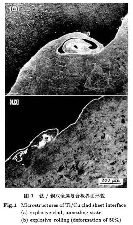 1635607220567400.jpg 100.jpg