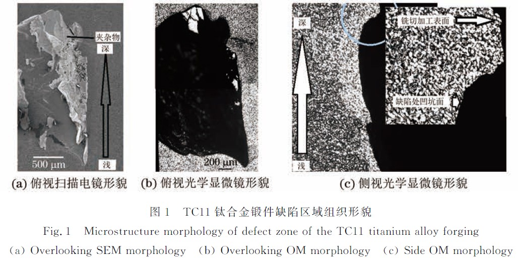 1664615516699951.jpg 1.jpg