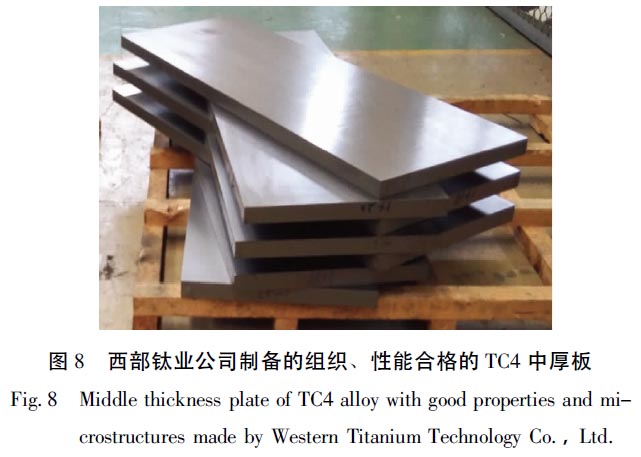 1670403832282429.jpg t8.jpg