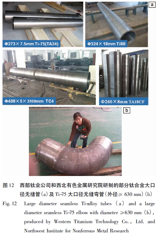 1670403926448103.jpg t12.jpg