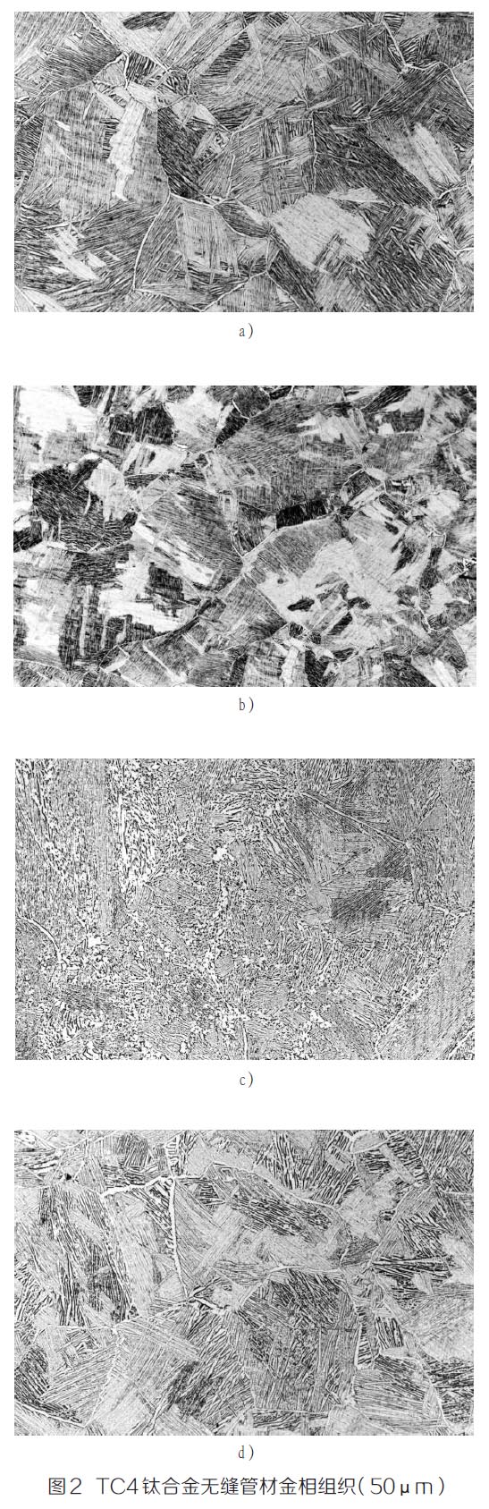 1671062415348778.jpg t2.jpg