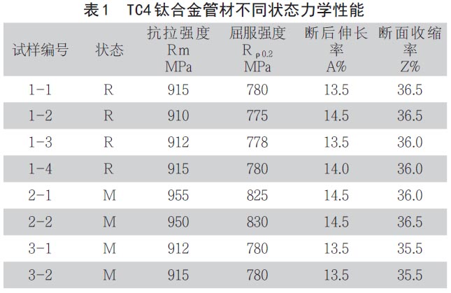 1671062464406005.jpg b1.jpg