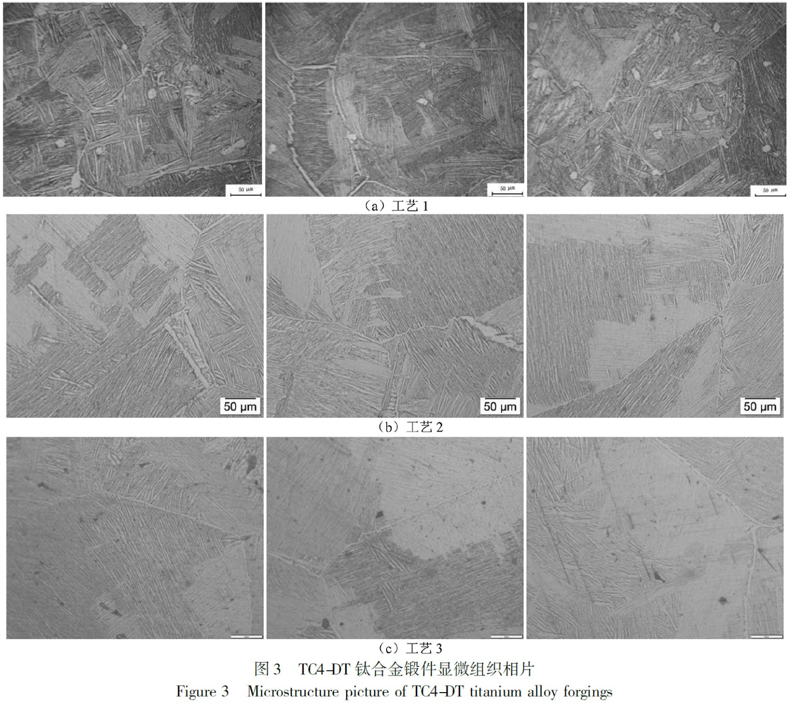 1675263110903721.jpg t3.jpg