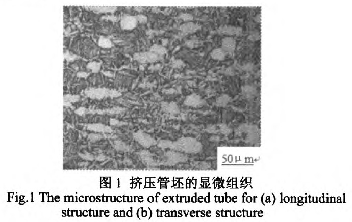 1676536794151514.jpg t1.jpg