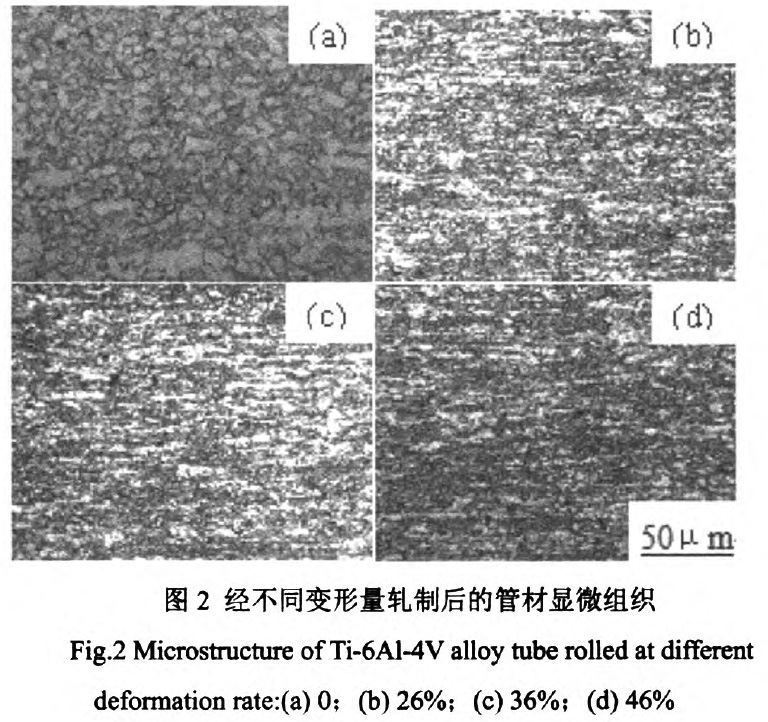 1676536862394859.jpg t2.jpg