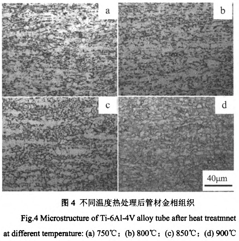 1676536884202679.jpg t4.jpg