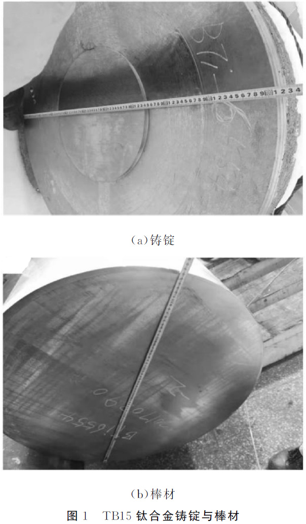 1677486688915550.jpg t1.jpg