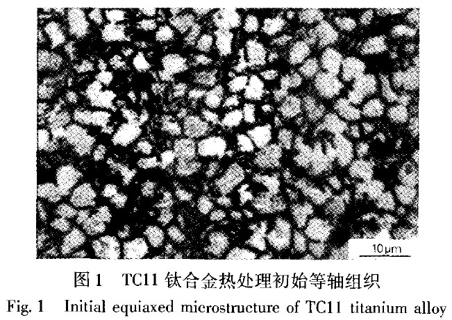 1681912838299044.jpg t1.jpg