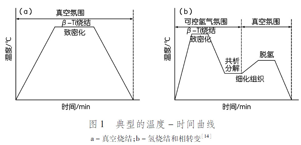 1685456477554206.jpg tt1.jpg