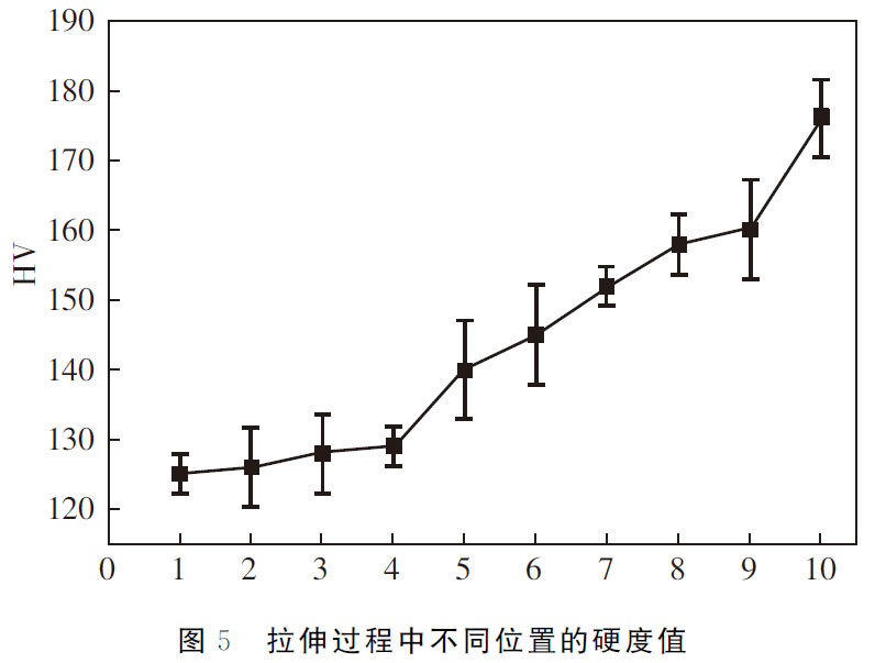 1686197658515483.jpg t5.jpg