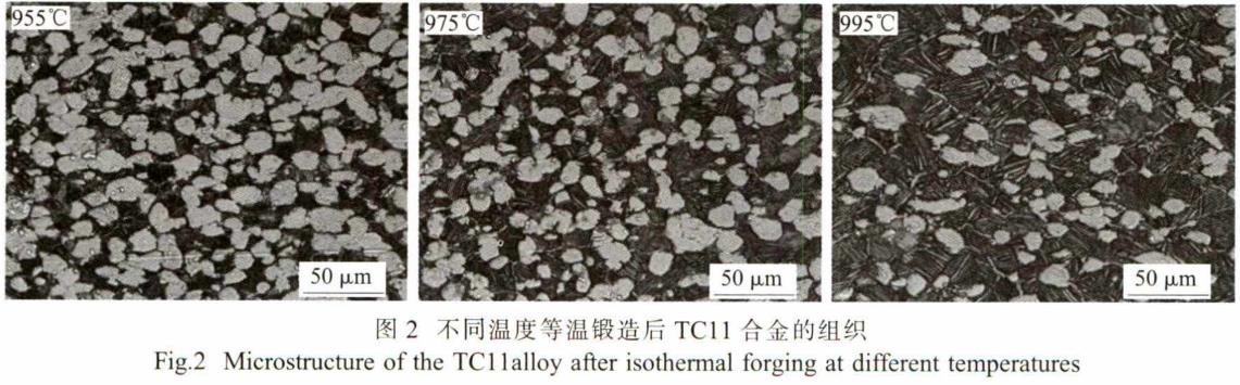 1688981650110314.jpg 360截圖16280717496872.jpg