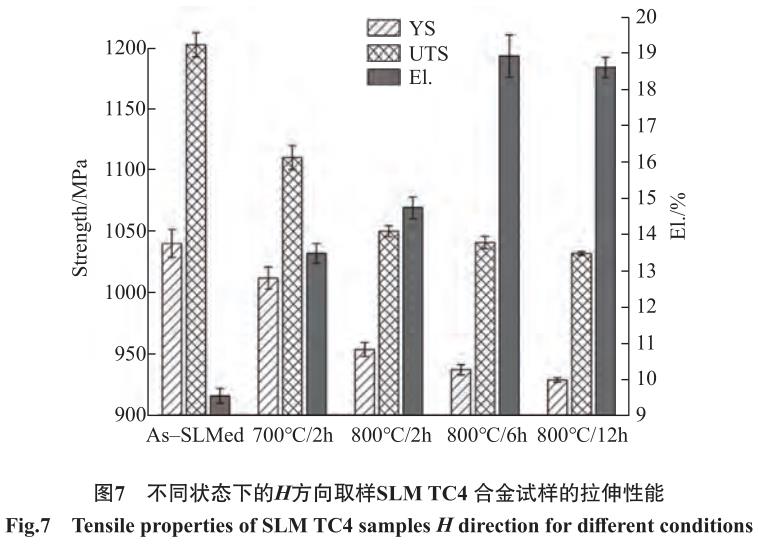 1692456210428043.jpg t7.jpg