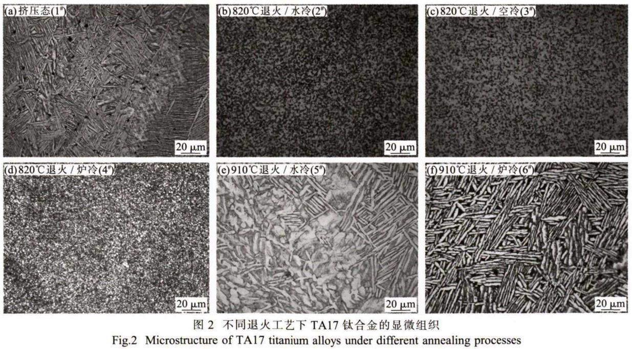 1696424193581047.jpg t2.jpg