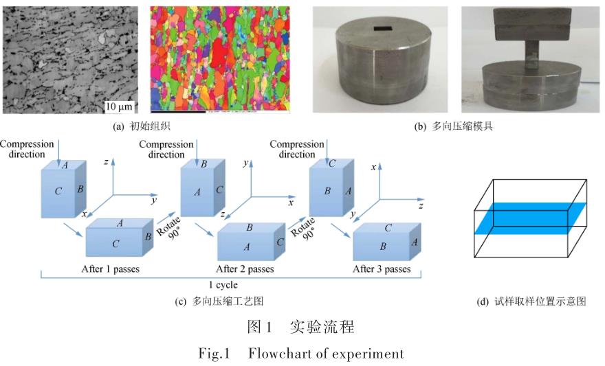 1696505772536303.jpg t1.jpg