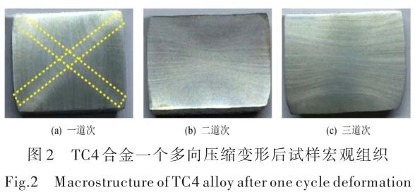 1696505779474365.jpg t2.jpg