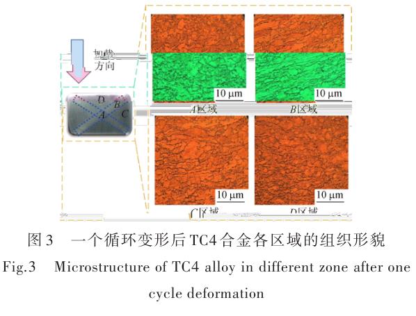 1696505787491269.jpg t3.jpg