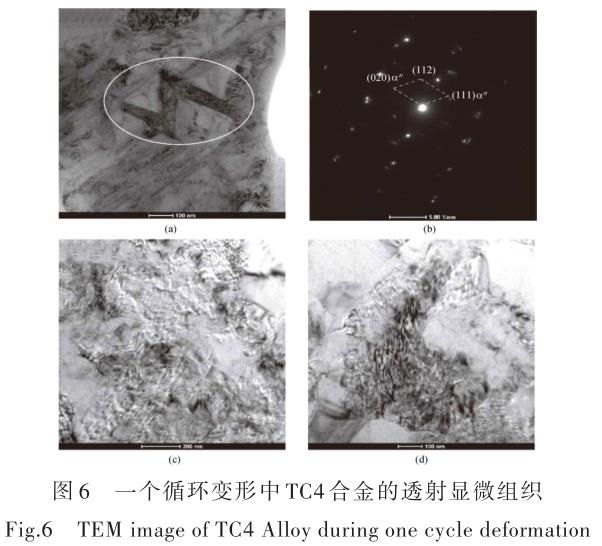 1696505810202330.jpg t6.jpg