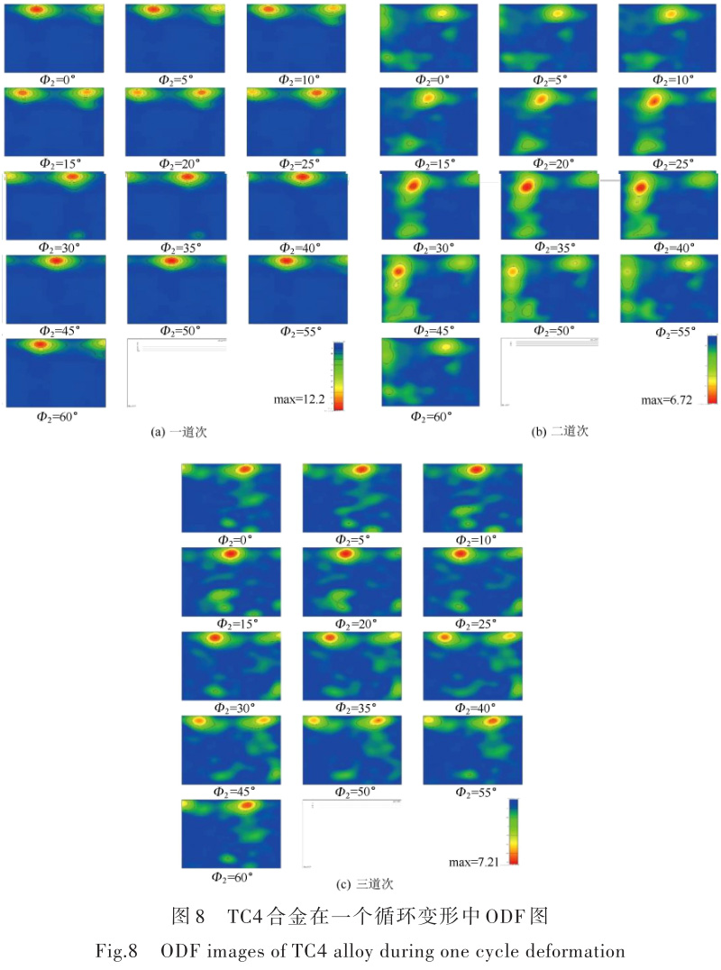 1696505828937687.jpg t8.jpg