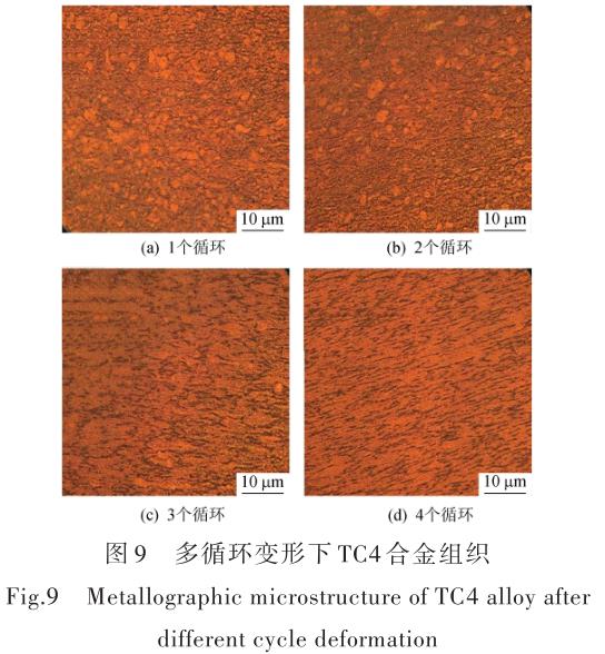 1696505836282576.jpg t9.jpg