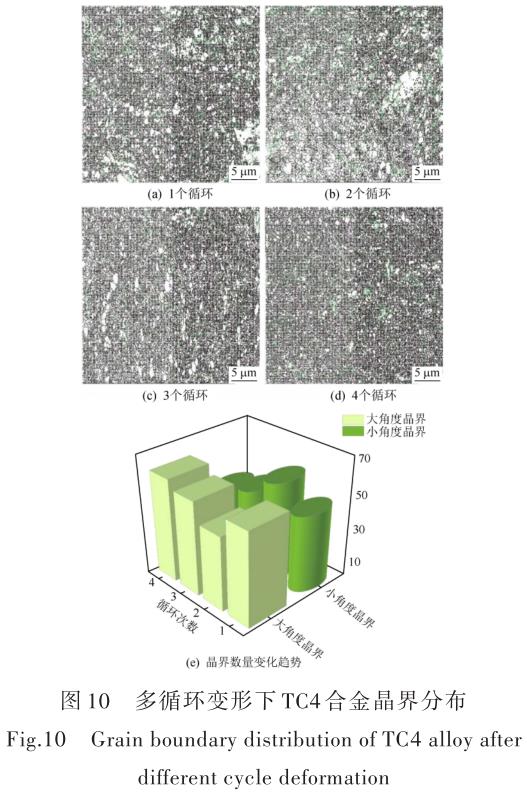 1696505842392485.jpg t10.jpg