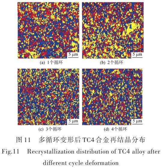 1696505850546213.jpg t11.jpg