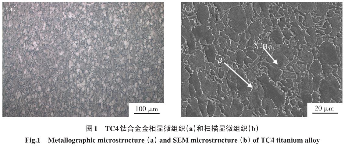 1700449255601280.jpg t1.jpg