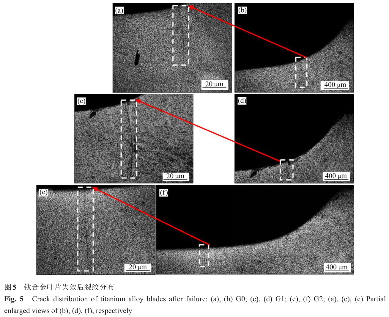 1700551038470723.jpg t5.jpg