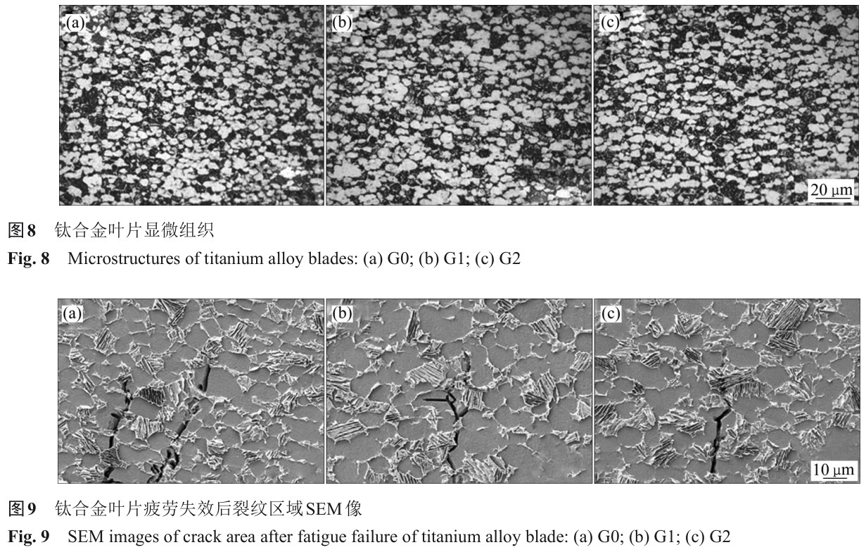 1700551058587425.jpg t8-9.jpg