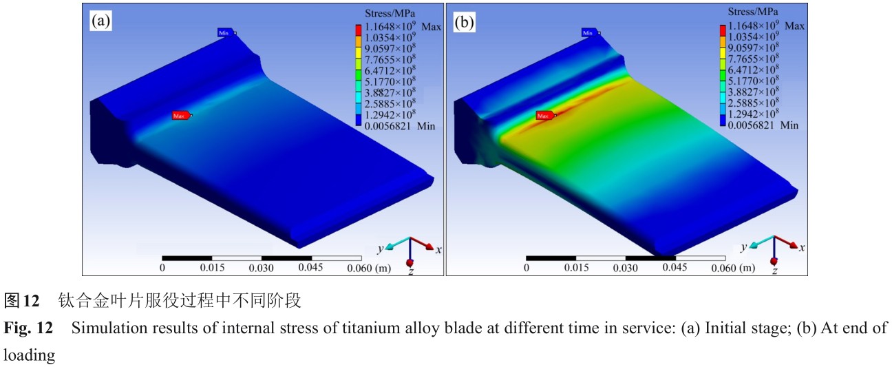 1700551427135080.jpg t12.jpg