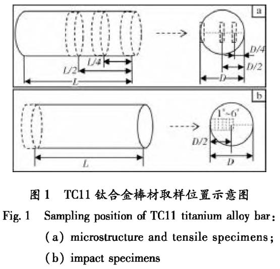 1700571174788851.jpg t1.jpg