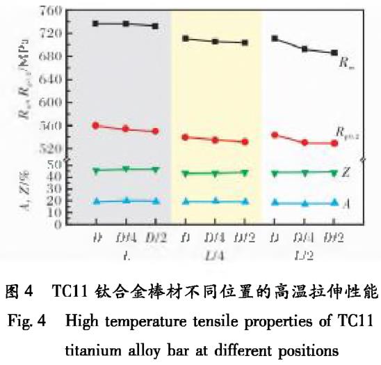 1700571203550631.jpg t4.jpg