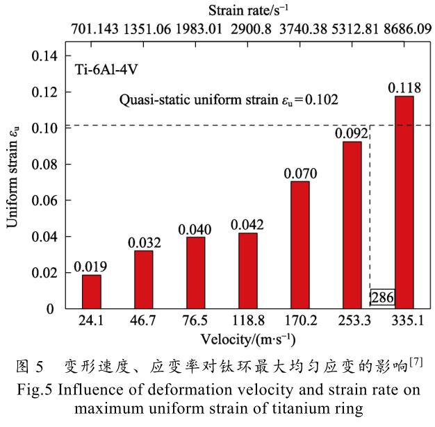 1701944575790869.jpg t5.jpg