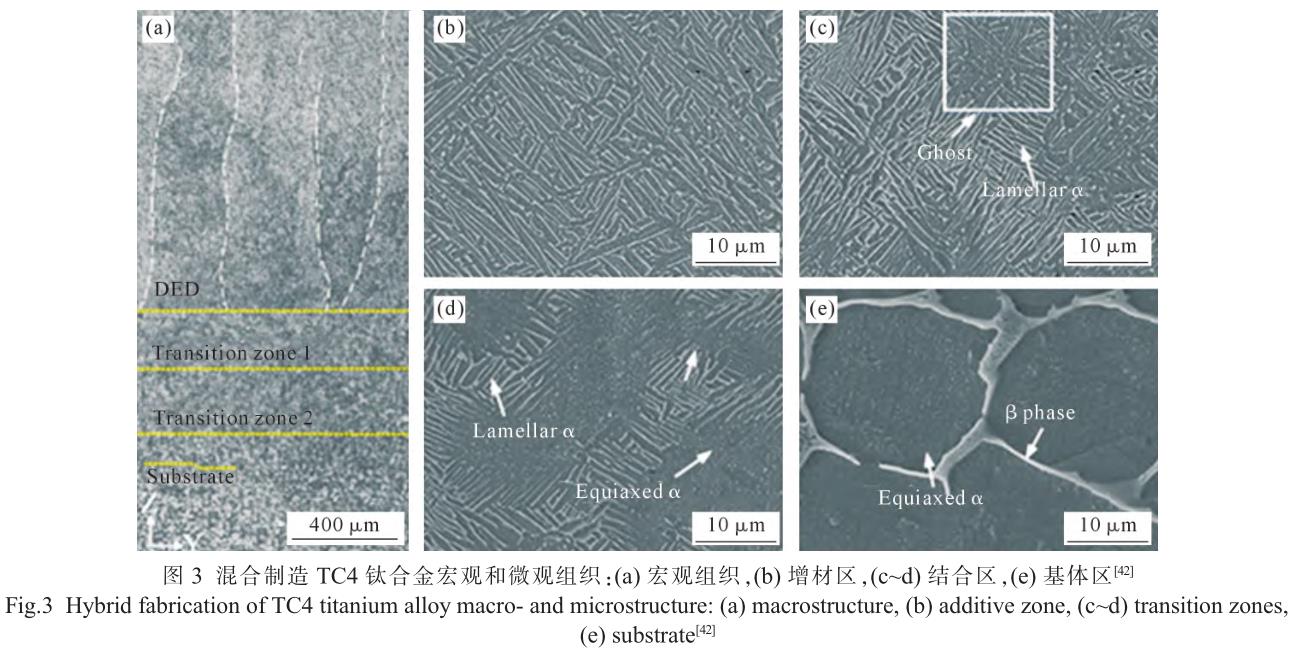 1705821539350331.jpg t3.jpg