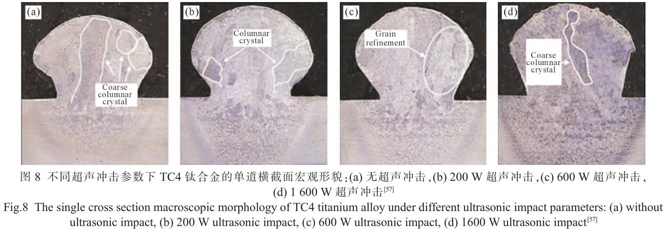 1705821672830670.jpg t8.jpg