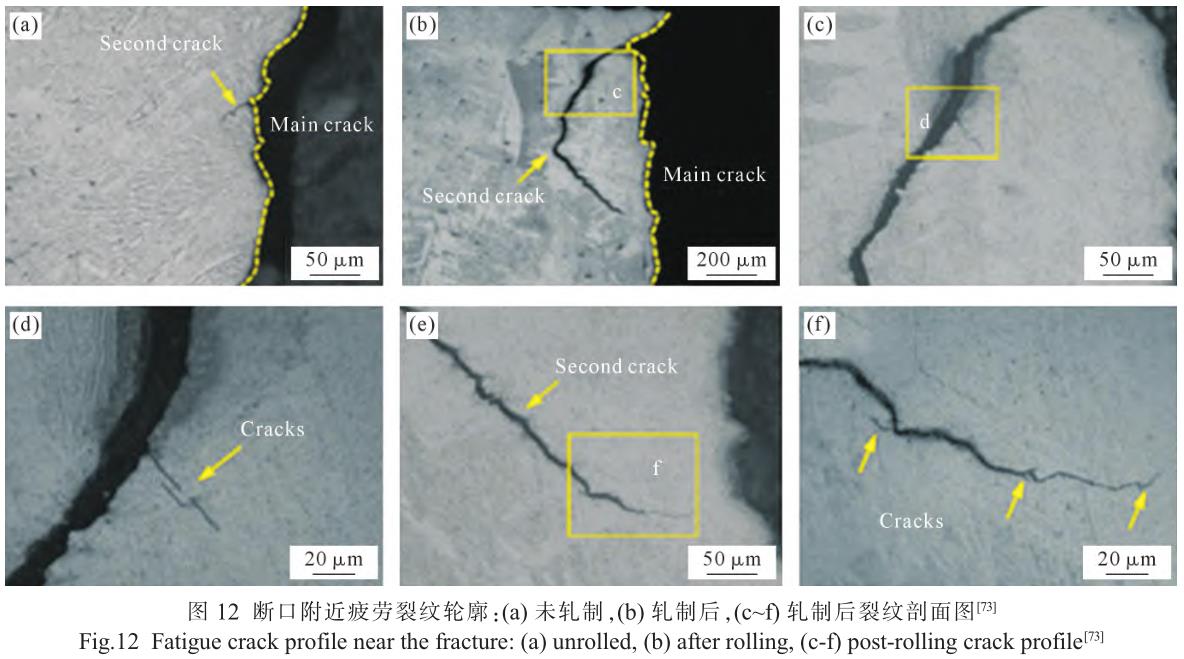 1705821704235589.jpg t12.jpg