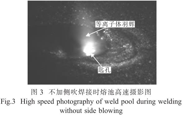 1705828215978386.jpg t3.jpg