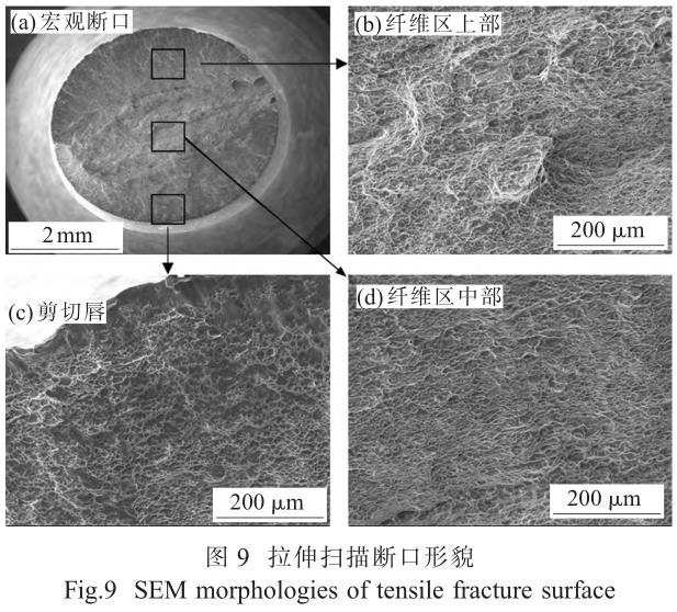 1705828271649614.jpg t9.jpg