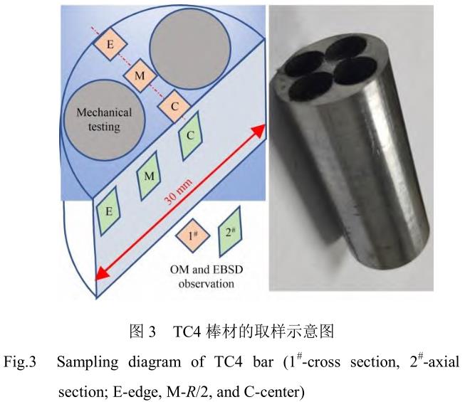 1705846593362551.jpg t3.jpg