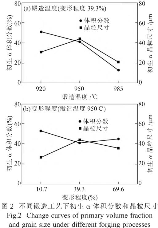 1708270041544185.jpg t2.jpg