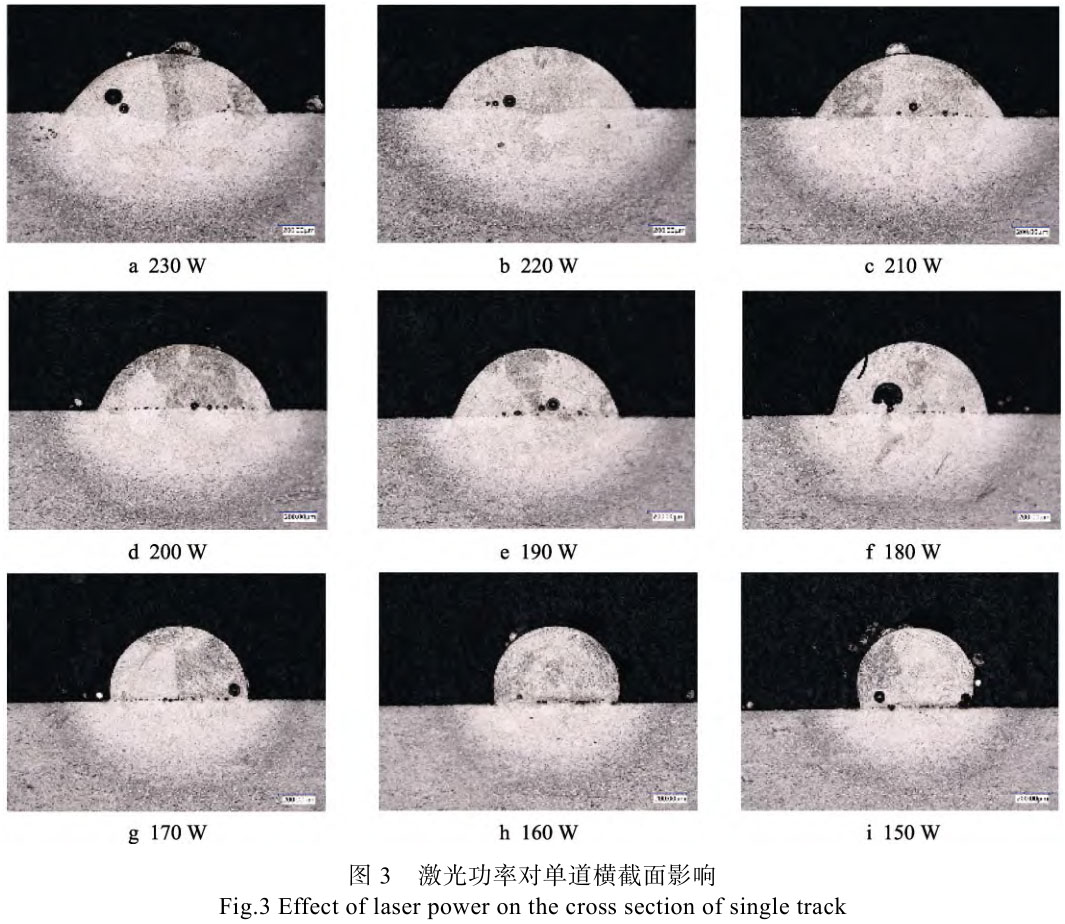 1708270995681030.jpg t3.jpg