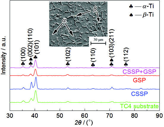 1710851842644180.jpg 6.jpg