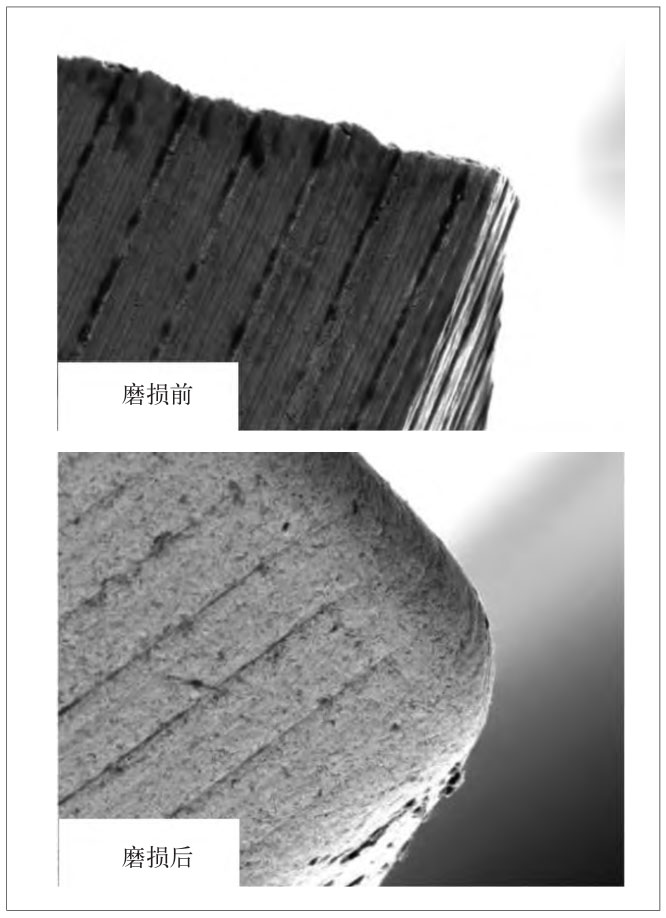 1710853249874368.jpg 1.jpg