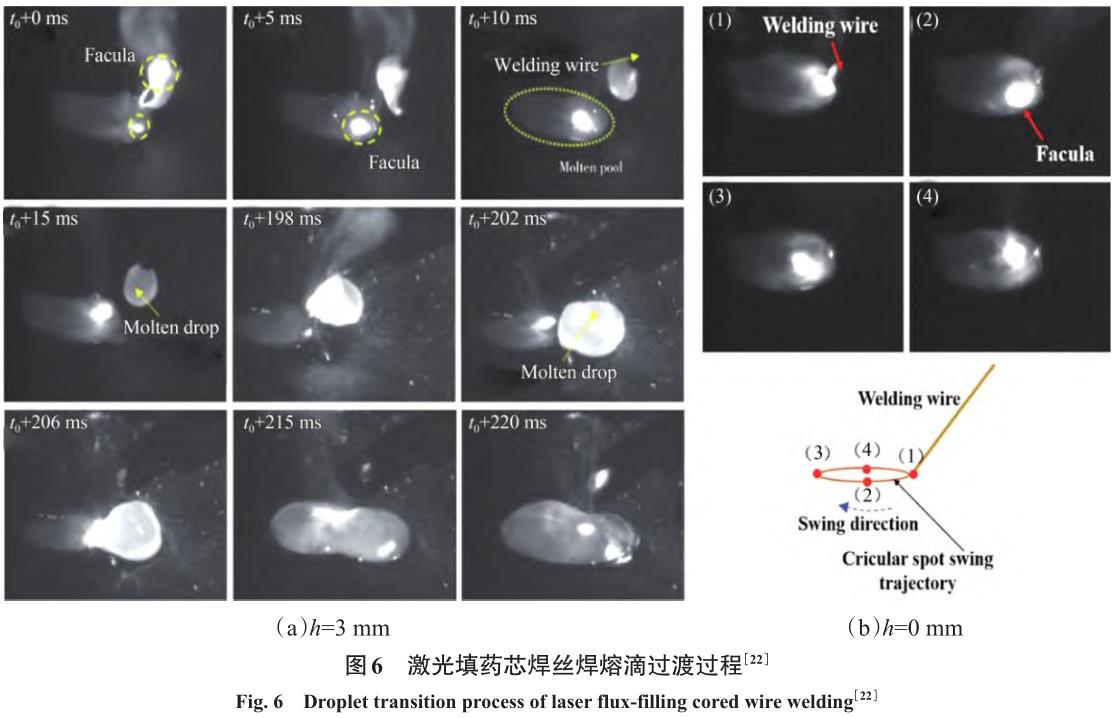 1710887819356633.jpg t6.jpg