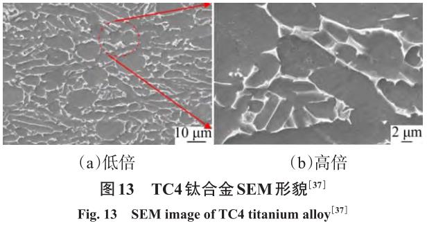 1710887897453040.jpg t13.jpg