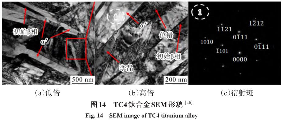 1710887908720704.jpg t14.jpg