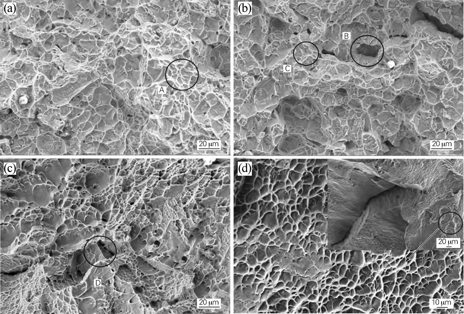 1710926554735165.jpg t5.jpg