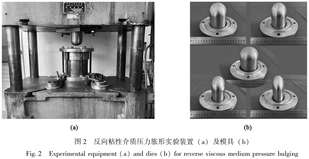 1712419465258229.jpg t2.jpg