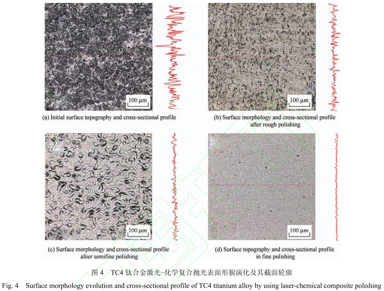 1713081179539400.jpg 未標題-1.jpg